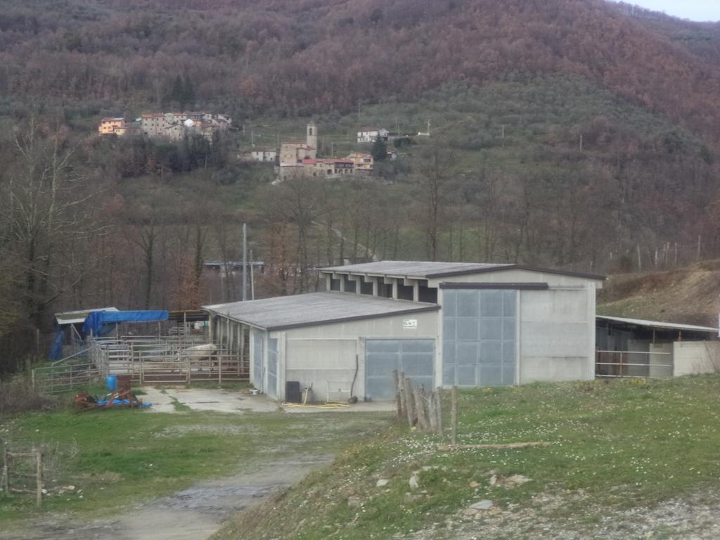 Le Chianine Dei Tognoli Villa Gragnone Buitenkant foto