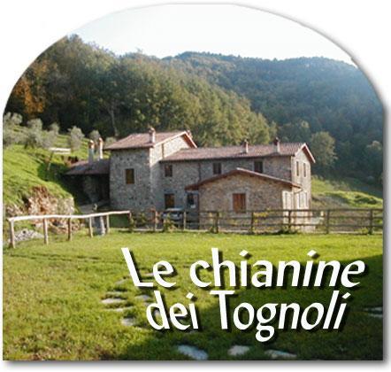 Le Chianine Dei Tognoli Villa Gragnone Buitenkant foto
